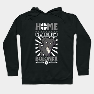 Home is where my Bolonka is - Bolonka Zwetna Hoodie